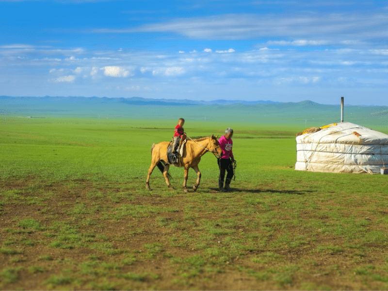 モンゴルの写真|草原と馬